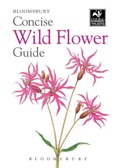 Cover for Bloomsbury · Concise Wild Flower Guide (N/A) (2014)