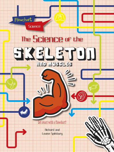 Cover for Louise Spilsbury · The Skeleton and Muscles - Flowchart Science: The Human Body (Paperback Book) (2019)