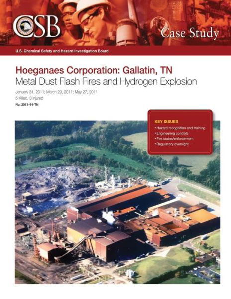 Hoeganaes Corporation: Gallatin, Tn Metal Dust Flash Fires and Hydrogen Explosion - U S Chemical Safet Investigation Board - Boeken - Createspace - 9781500482985 - 1 augustus 2014