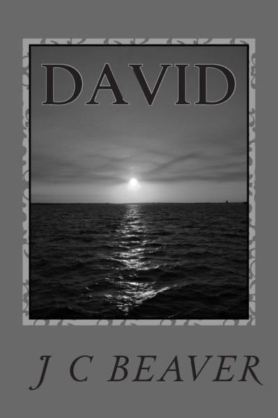 Cover for J C Beaver · David: Journey Continues (Pocketbok) (2014)
