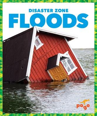 Cover for Vanessa Black · Floods - Disaster Zone (Gebundenes Buch) (2019)