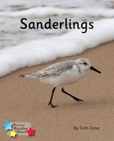 Cover for Cath Jones · Sanderlings: Phonics Phase 4 - Reading Stars Phonics (Paperback Book) (2020)