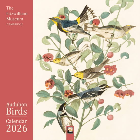 Fitzwilliam Museum: Audubon Birds Wall Calendar 2026 (Art Calendar) - - Merchandise - Flame Tree Publishing - 9781835623985 - June 10, 2025