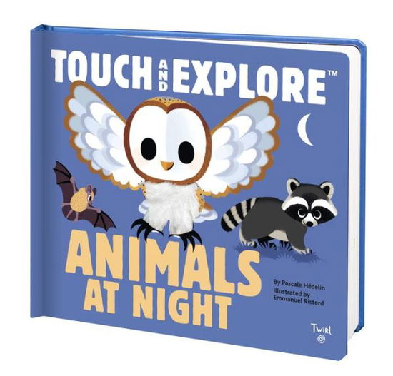 Cover for Pascale Hedelin · Touch and Explore: Animals at Night - Touch and Explore (Board book) (2020)