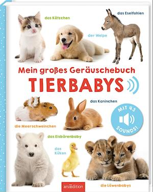 Mein großes Geräuschebuch – Tierbabys -  - Livros - arsEdition - 9783845860985 - 30 de setembro de 2024