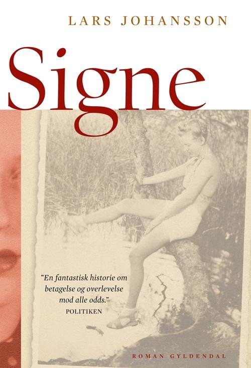 Maxi-paperback: Signe - Lars Johansson - Bøker - Gyldendal - 9788702193985 - 1. mars 2016