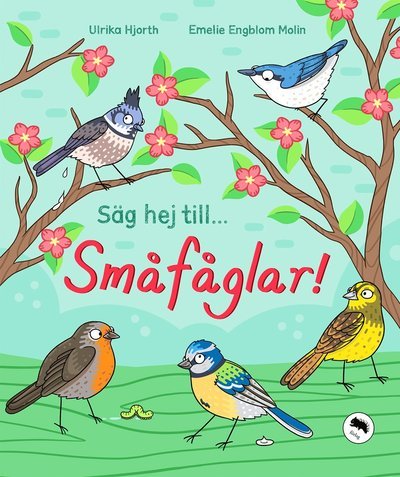 Cover for Emelie Engblom Molin · Säg hej till... småfåglar! (Inbunden Bok) (2021)