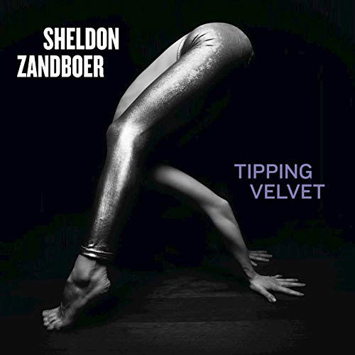 Cover for Sheldon Zandboer · Tipping Velvet (CD) (2019)