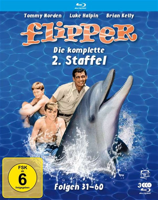 Cover for Kelly,brian / Norden,tommy · Flipper-die Komplette 2.staffel (3 Blu-rays) (F (Blu-ray) (2021)
