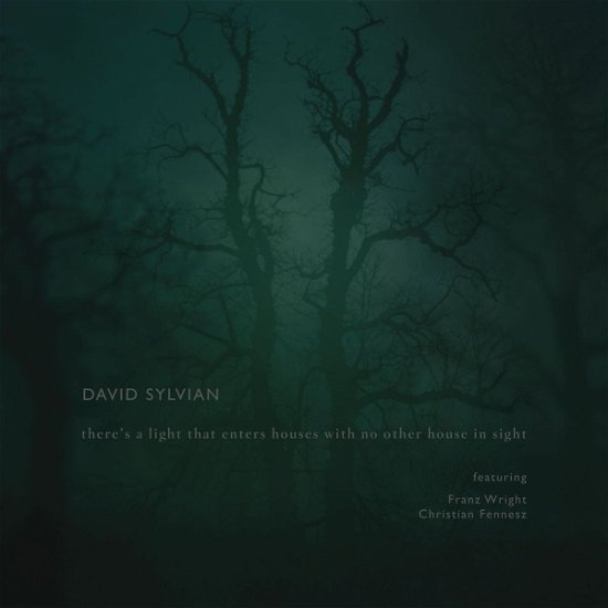 There's a Light That Enters Houses with No Other House in Sight - David Sylvian - Musik - P-VINE RECORDS CO. - 4995879176986 - 17. december 2014