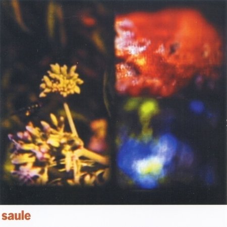 Cover for Saule (CD)