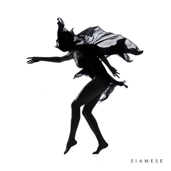 Cover for Siamese (CD) (2015)
