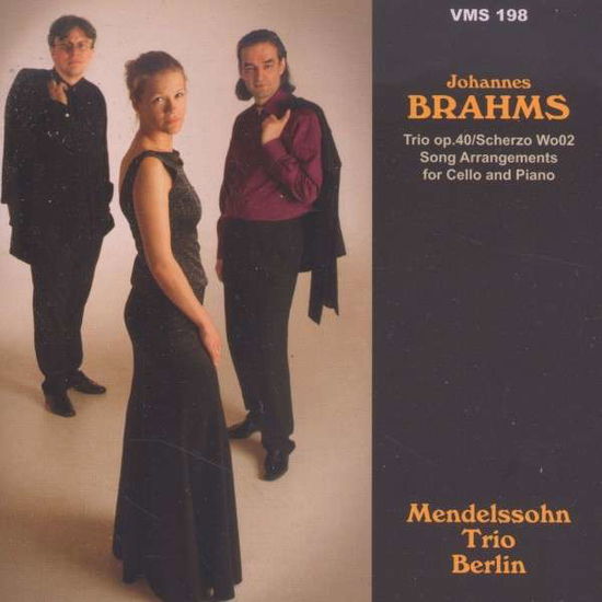 Cover for J. Brahms · Trio &amp; Song Arrangements (CD) (2013)