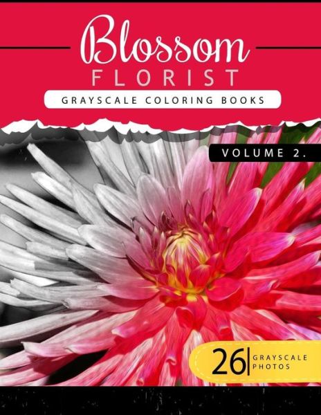 Cover for Flowers Grayscale Publishing · Blossom Florist Volume 2 (Paperback Book) (2016)