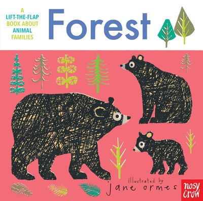 Cover for Nosy Crow · Animal Families Forest (Book) (2020)