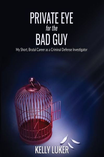 Cover for Jean Boles · Private Eye for the Bad Guy (Paperback Book) (2017)