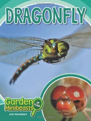 Cover for John Woodward · Dragonfly (Hardcover bog) (2010)
