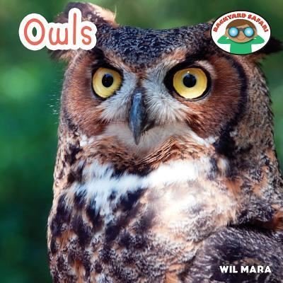 Cover for Wil Mara · Owls (Gebundenes Buch) (2014)