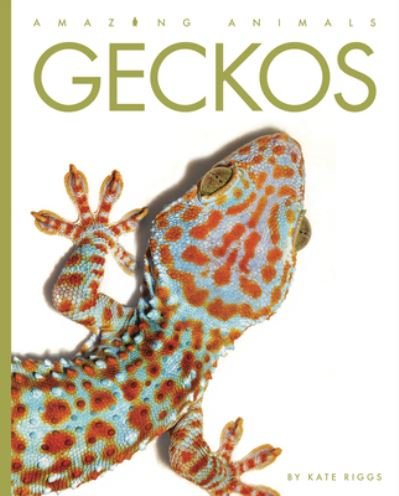 Cover for Kate Riggs · Geckos (N/A) (2022)