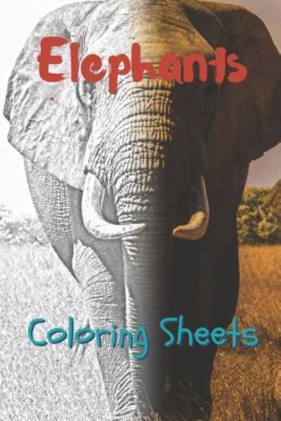 Cover for Julian Smith · Elephant Coloring Sheets (Paperback Book) (2019)