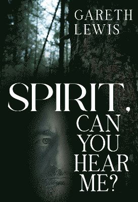 Cover for Gareth Lewis · Spirit, Can You Hear Me? (Paperback Book) (2025)