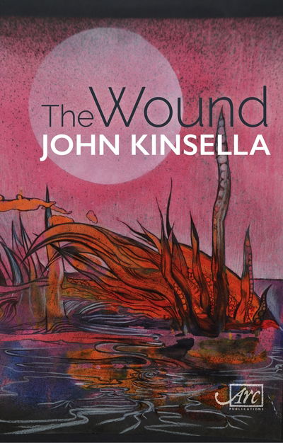 Cover for John Kinsella · The Wound (Hardcover Book) (2018)