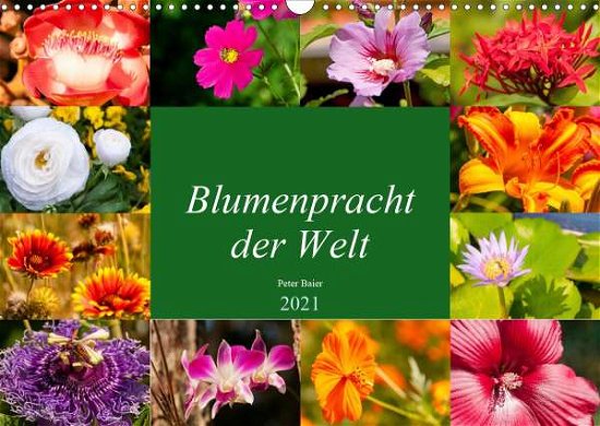 Cover for Baier · Blumenpracht der Welt (Wandkalend (Book)