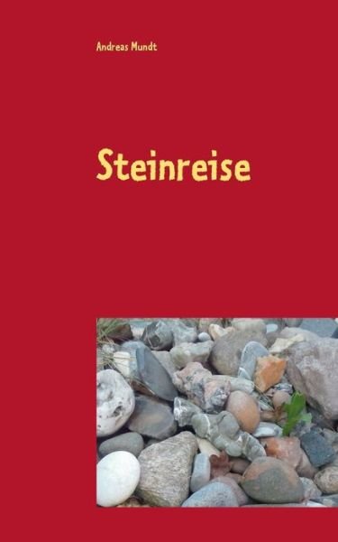 Cover for Mundt · Steinreise (Book) (2016)