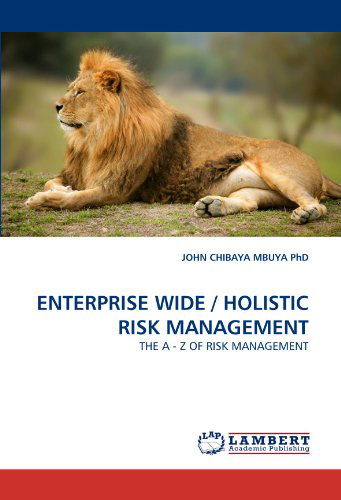 Cover for John Chibaya Mbuya  Phd · Enterprise Wide / Holistic Risk Management: the a - Z of Risk Management (Paperback Book) (2010)