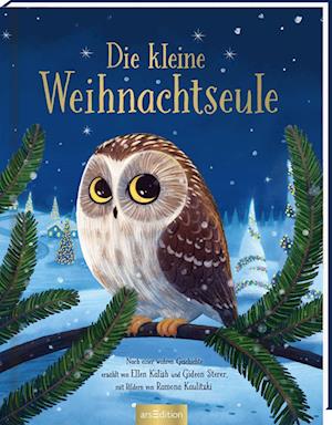 Cover for Ellen Kalish · Die kleine Weihnachtseule (Book) (2022)