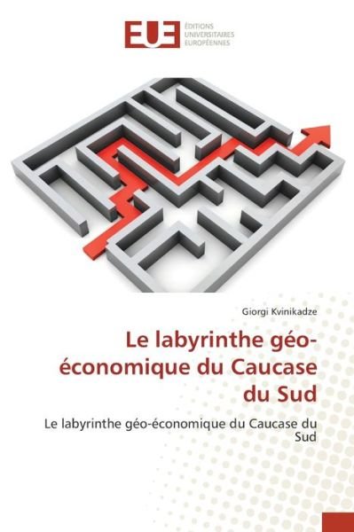 Cover for Kvinikadze · Le labyrinthe géo-économique (Bog) (2020)