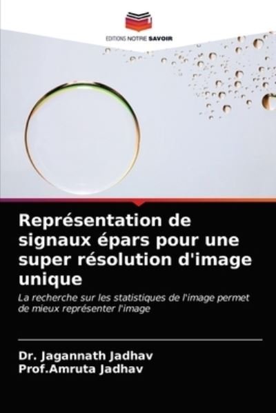 Cover for Jadhav · Représentation de signaux épars (N/A) (2021)
