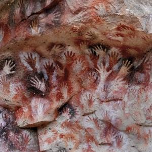 Cover for Fauna · Ochre &amp; Ash (CD) (2025)