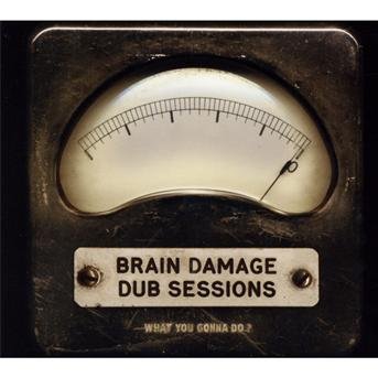 Cover for Brain Damage · Dub Sessions - What You Gonna Do? (CD) (2012)