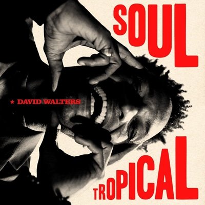 Cover for David Walters · Soul Tropical (CD) (2023)