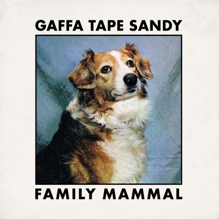 Cover for Gaffa Tape Sandy · Family Mammal (LP) (2019)