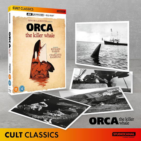 Cover for Orca Uhd · Orca The Killer Whale (4K Ultra HD) (2024)