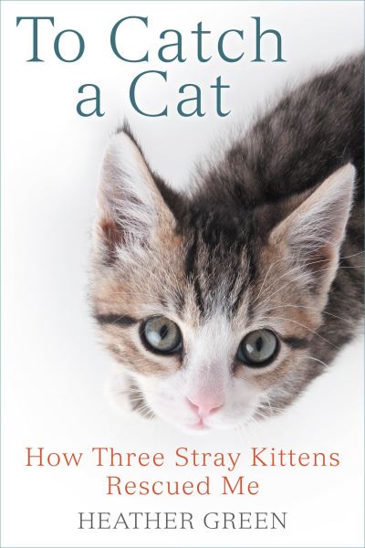 Cover for Heather Green · To catch a cat how three stray kittens rescued me (Book) [Berkley trade paperback edition. edition] (2016)