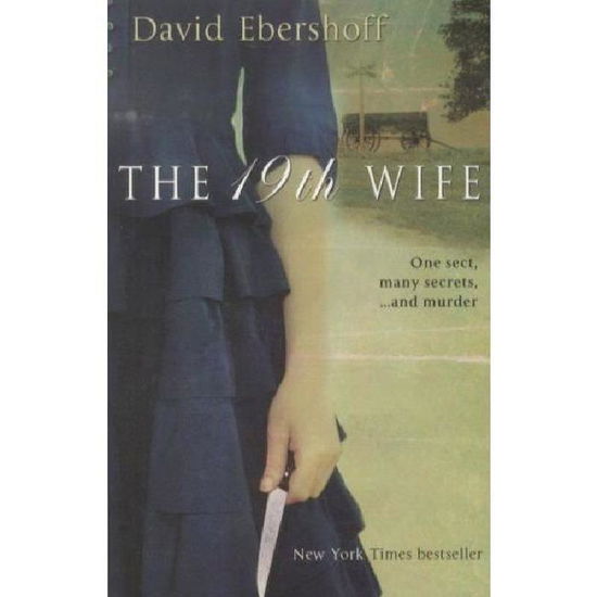 Cover for David Ebershoff · The 19th Wife: The gripping Richard and Judy bookclub page turner (Paperback Book) (2009)