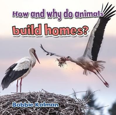 Cover for Bobbie Kalman · How and Why Do Animals Build Homes - Animals Close-Up (Paperback Book) (2014)