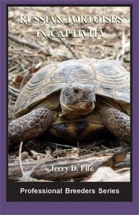 Cover for Fife · Russian Tortoises in captivity (Bog)