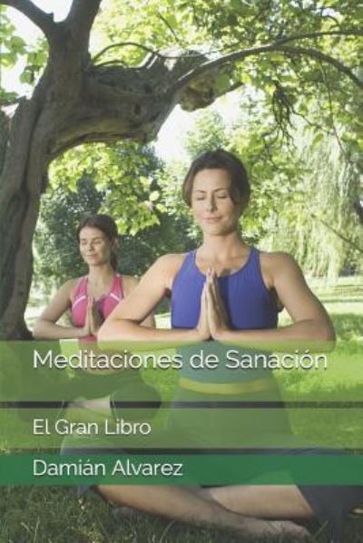 Cover for Dami Alvarez · Meditaciones de Sanaci (Pocketbok) (2017)