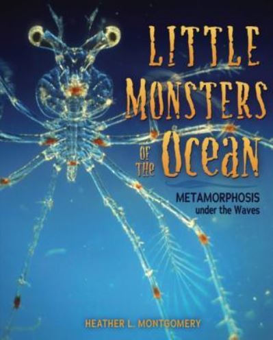 Cover for Heather L. Montgomery · Little Monsters of the Ocean : Metamorphosis under the Waves (Hardcover Book) (2019)