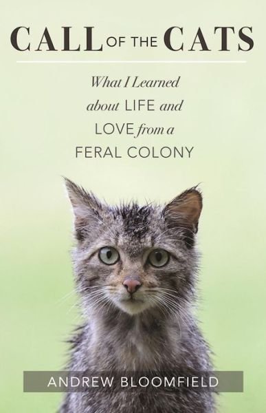 Call of the Cats: What I Learned About Life and Love from a Feral Colony - Andrew Bloomfield - Books - New World Library - 9781608683987 - November 8, 2016