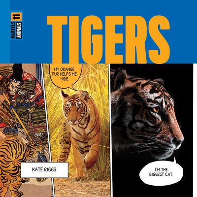 Cover for Kate Riggs · Tigers (Bok) (2024)