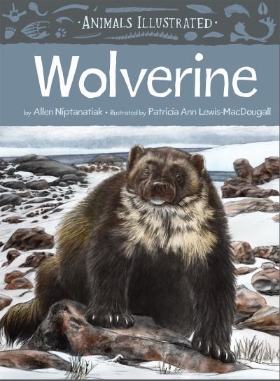 Cover for Allen Niptanatiak · Animals Illustrated: Wolverine - Animals Illustrated (Hardcover Book) [English edition] (2021)