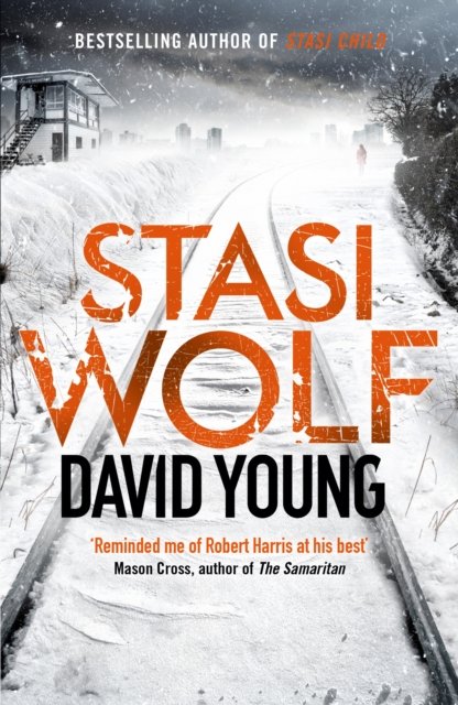 Cover for David Young · Stasi Wolf: A Gripping New Thriller for Fans of Child 44 (Taschenbuch) (2017)