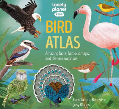 Lonely Planet Kids Bird Atlas 1 - Lonely Planet Kids - Livros - Lonely Planet Global Limited - 9781838699987 - 19 de dezembro de 2023