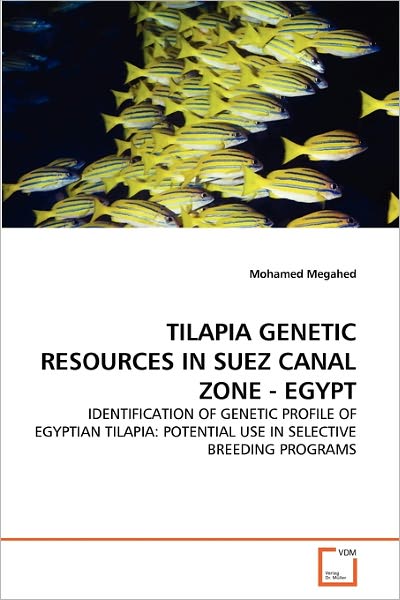 Cover for Mohamed Megahed · Tilapia Genetic Resources in Suez Canal Zone - Egypt: Identification of Genetic Profile of Egyptian Tilapia: Potential Use in Selective Breeding Programs (Paperback Book) (2010)