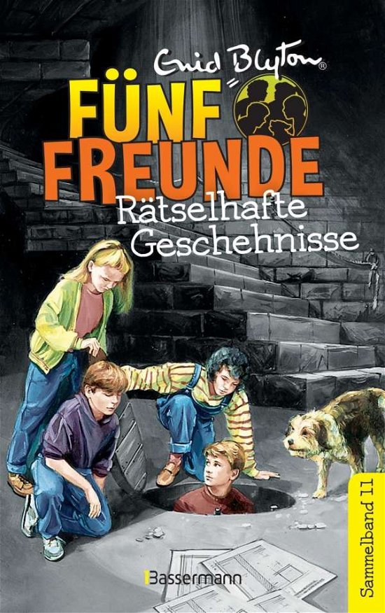 Cover for Blyton · Fünf Freunde - Rätselhafte Gesch (Bog)